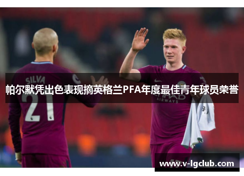 帕尔默凭出色表现摘英格兰PFA年度最佳青年球员荣誉 帕尔默凭出色表现摘英格兰PFA年度最佳青年球员荣誉